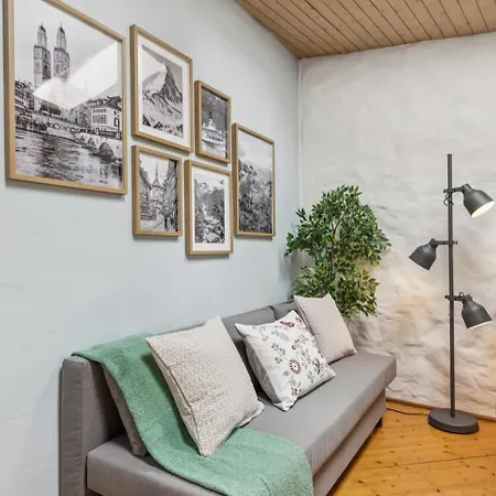 Old Town Riverside Penthouse Balcony Waterview * زيورخ