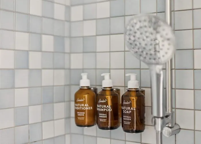 Oldtownriversideacbalconyfreeparkingwaterview * زيورخ